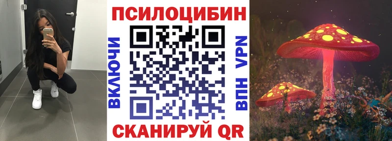 blacksprut зеркало  Новотроицк  Псилоцибиновые грибы мухоморы 